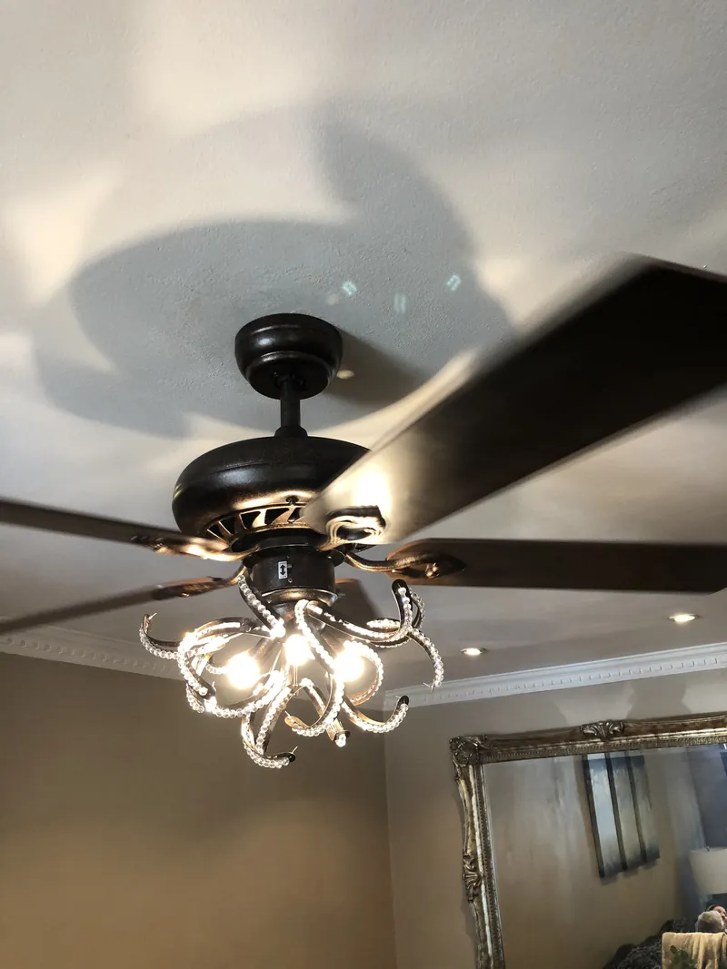 Decorative fan and light